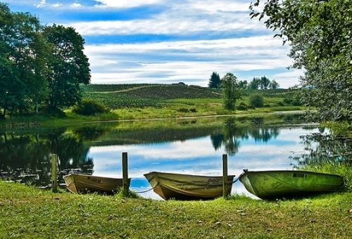 Paradise Rv Campground Silver Creek Eksteriør bilde